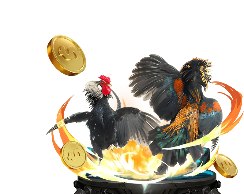 Cá cược thể thao 23win với trận đấu bóng đá sôi động